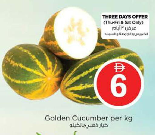 Cucumber available at نستو هايبرماركت in الإمارات العربية المتحدة , الامارات - دبي