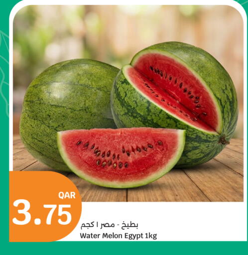 Melon from Egypt available at سيتي هايبرماركت in قطر - أم صلال