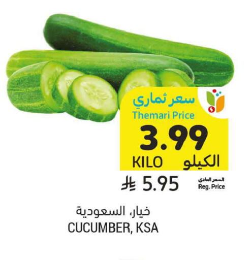 Cucumber available at أسواق التميمي in مملكة العربية السعودية, السعودية, سعودية - الرس