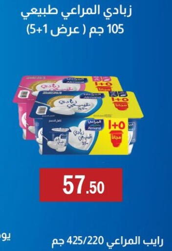 available at ابا ماركت in Egypt - القاهرة