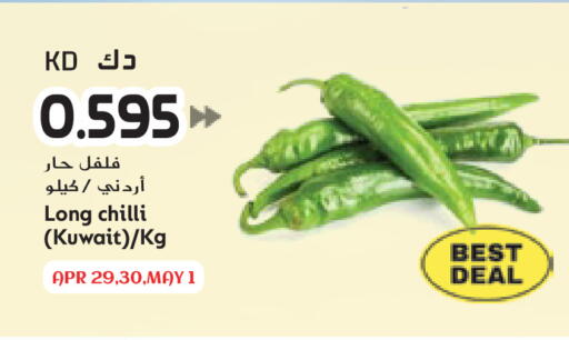 Chilli from Kuwait available at جراند هايبر in الكويت - مدينة الكويت