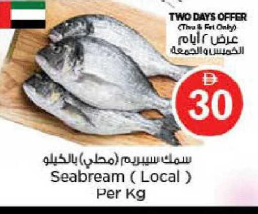 available at Nesto Hypermarket in UAE - Al Ain