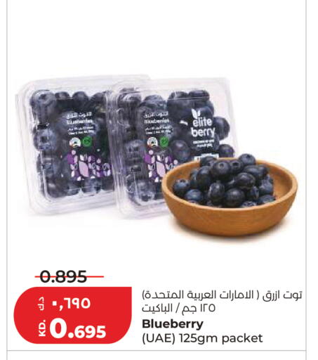 Blueberry BlueBerry available at لولو هايبر ماركت in الكويت - مدينة الكويت