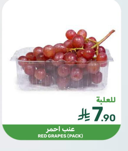 Grapes available at  مـزايــا in مملكة العربية السعودية, السعودية, سعودية - سيهات