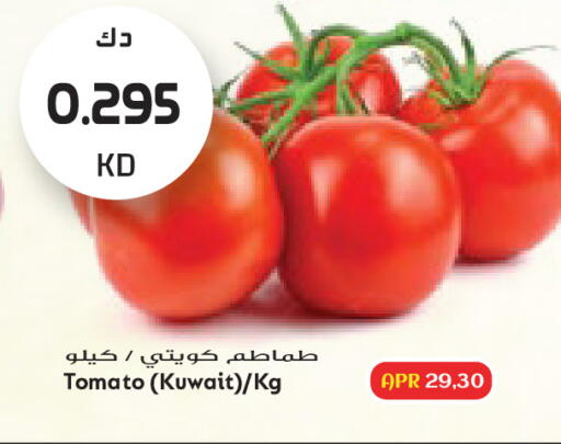 Tomato from Kuwait available at جراند هايبر in الكويت - مدينة الكويت