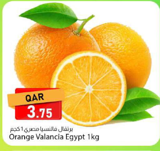 Orange from Valancia Egypt available at دانا ماركت in قطر - الدوحة
