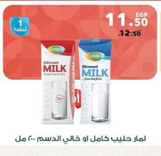 available at بنده in Egypt - القاهرة