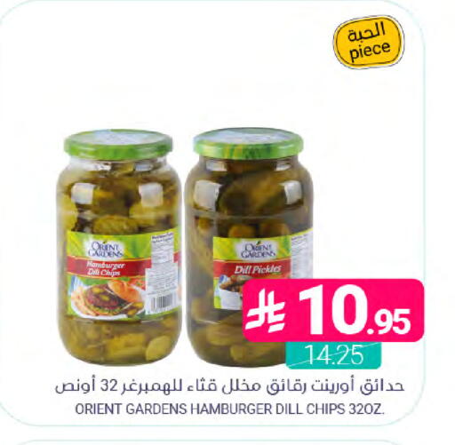Dill available at Muntazah Markets in KSA, Saudi Arabia, Saudi - Saihat