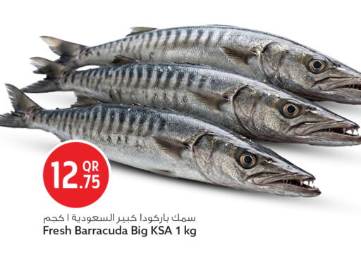 available at سفاري هايبر ماركت in قطر - الدوحة