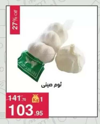 available at محمود الفار in Egypt - القاهرة