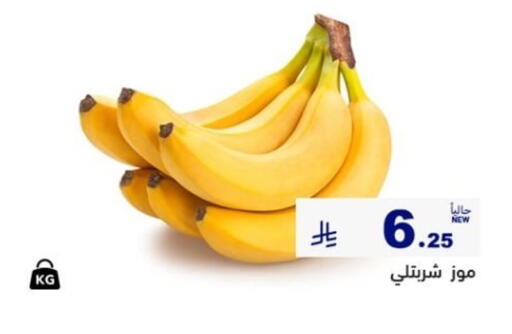 available at أسواق رامز in مملكة العربية السعودية, السعودية, سعودية - المنطقة الشرقية