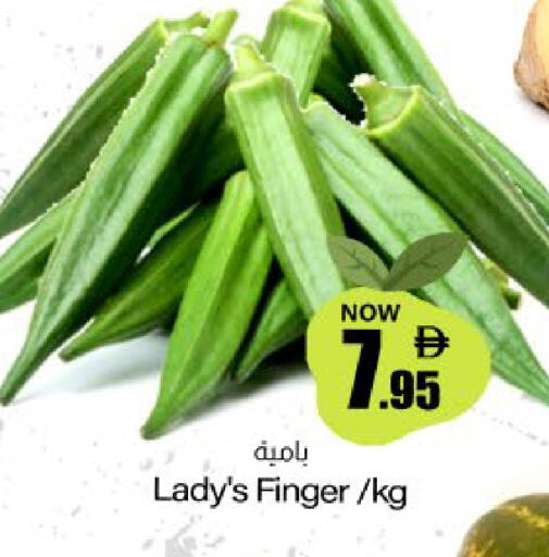 available at ميم ساجدة in الإمارات العربية المتحدة , الامارات - ٱلْفُجَيْرَة‎