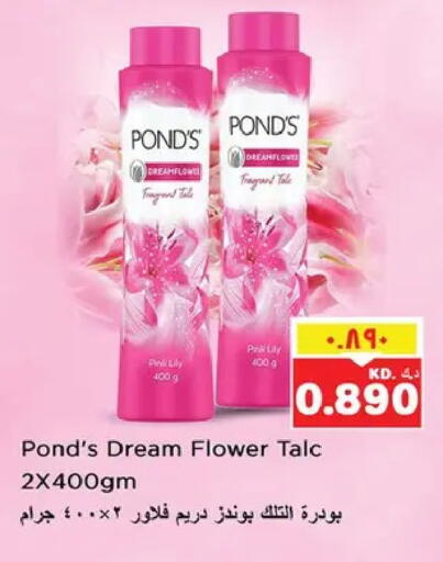 available at نستو هايبر ماركت in الكويت - مدينة الكويت