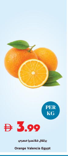Orange from Egypt available at Trolleys Supermarket in UAE - Sharjah / Ajman