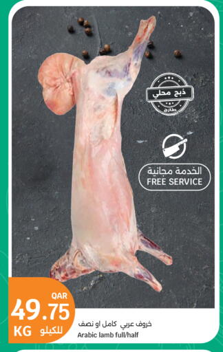 available at City Hypermarket in Qatar - Doha