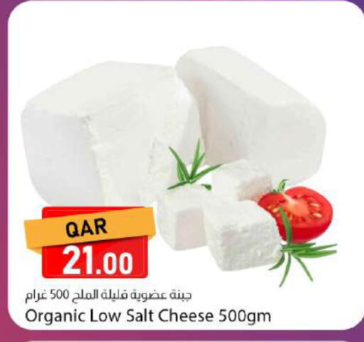 available at دانا ماركت in قطر - الدوحة