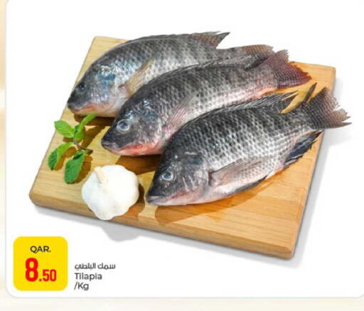 available at باريس هايبرماركت in قطر - الوكرة