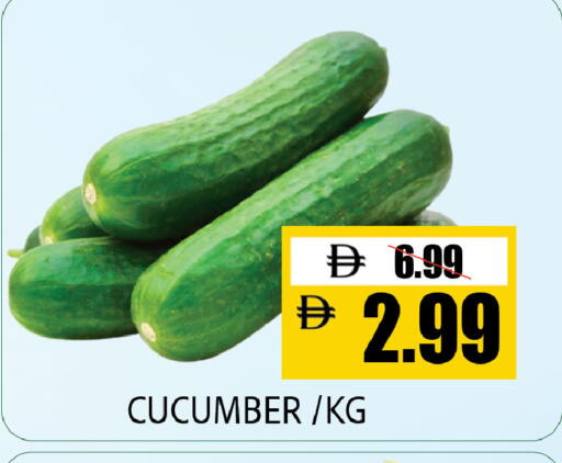 Cucumber available at Leptis Hypermarket  in UAE - Al Ain