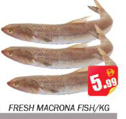 available at Souk Al Mubarak Hypermarket in UAE - Sharjah / Ajman