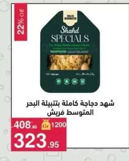 available at محمود الفار in Egypt - القاهرة