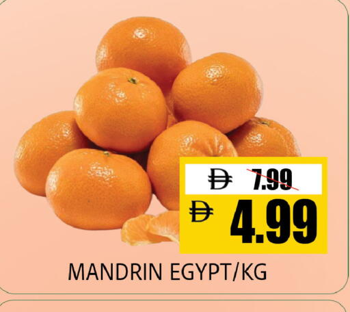 from Egypt available at ليبتس هايبرماركت in الإمارات العربية المتحدة , الامارات - ٱلْعَيْن‎