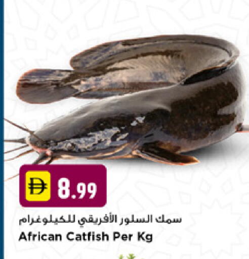 available at نيومارت هايبرماركت in الإمارات العربية المتحدة , الامارات - دبي