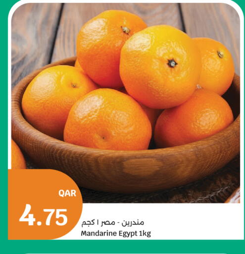 from Egypt available at سيتي هايبرماركت in قطر - أم صلال