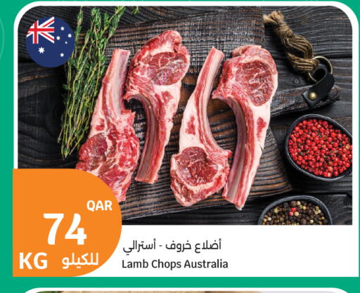 available at سيتي هايبرماركت in قطر - أم صلال