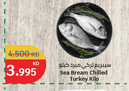 available at سيتي هايبرماركت in الكويت - مدينة الكويت