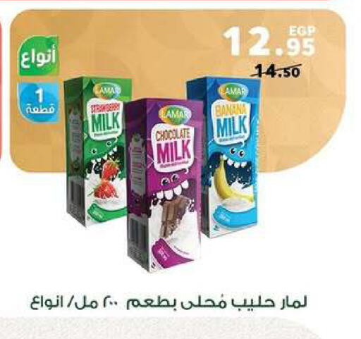 Banana available at بنده in Egypt - القاهرة