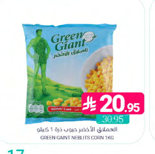 available at Muntazah Markets in KSA, Saudi Arabia, Saudi - Saihat