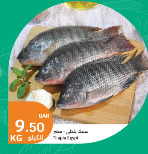 available at City Hypermarket in Qatar - Doha