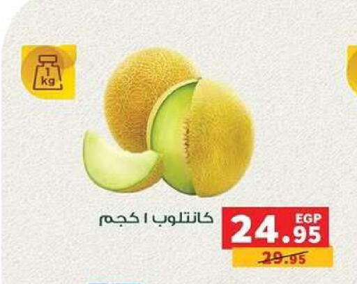 available at Panda  in Egypt - Cairo