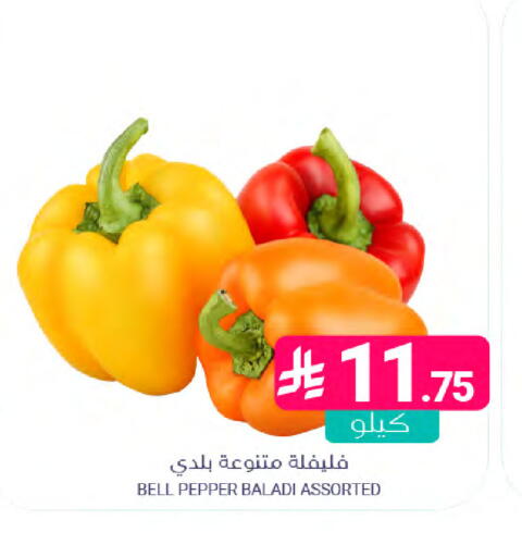 Bell Pepper available at Muntazah Markets in KSA, Saudi Arabia, Saudi - Saihat