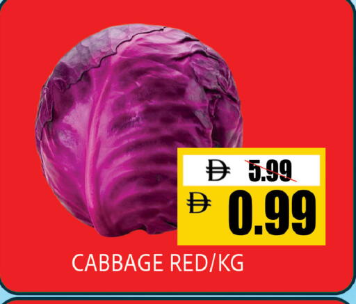 Cabbage available at ليبتس هايبرماركت in الإمارات العربية المتحدة , الامارات - ٱلْعَيْن‎
