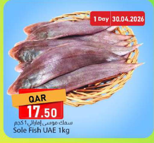 available at دانا ماركت in قطر - الدوحة