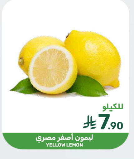 Lemon available at  مـزايــا in مملكة العربية السعودية, السعودية, سعودية - سيهات