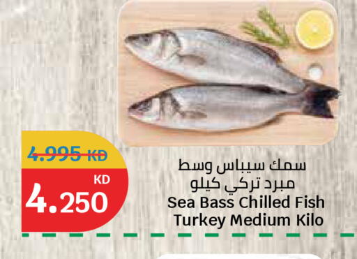 available at سيتي هايبرماركت in الكويت - مدينة الكويت