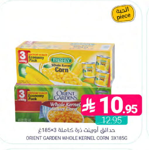 available at Muntazah Markets in KSA, Saudi Arabia, Saudi - Saihat