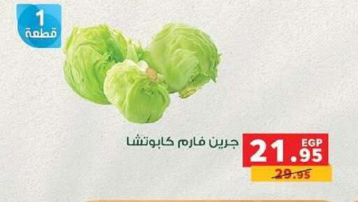 available at بنده in Egypt - القاهرة