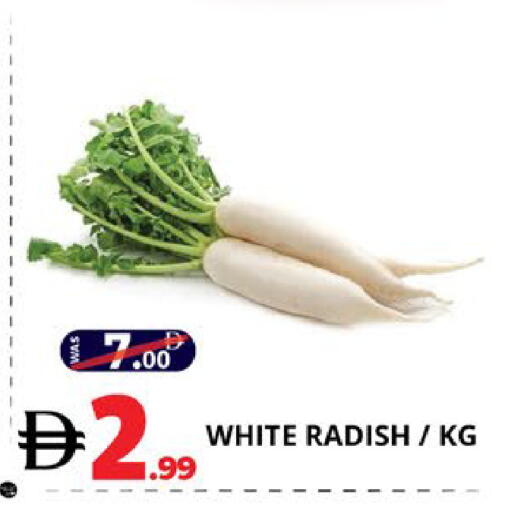 Radish available at EXPRESS AL MADEENA HYPERMARKET LLC in UAE - Abu Dhabi