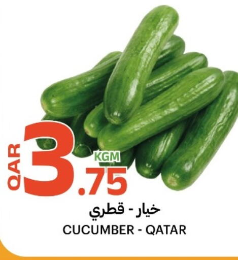 Cucumber from Qatar available at البلدي اليوم in قطر - الدوحة