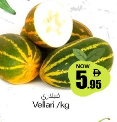 available at ميم ساجدة in الإمارات العربية المتحدة , الامارات - ٱلْفُجَيْرَة‎