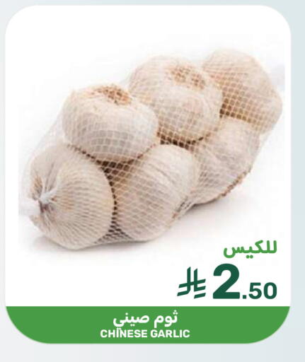 Garlic from China available at  مـزايــا in مملكة العربية السعودية, السعودية, سعودية - سيهات