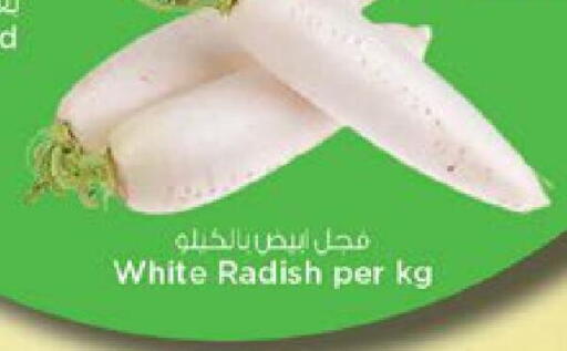 Radish available at نستو هايبرماركت in الإمارات العربية المتحدة , الامارات - دبي