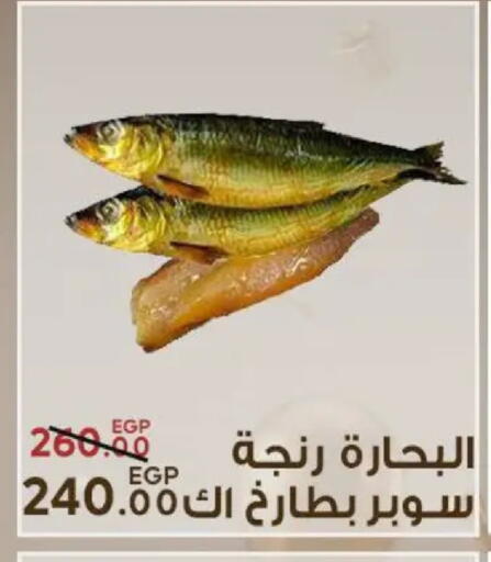 available at سراى ماركت in Egypt - القاهرة