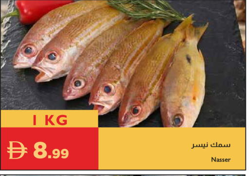 available at Istanbul Supermarket in UAE - Abu Dhabi