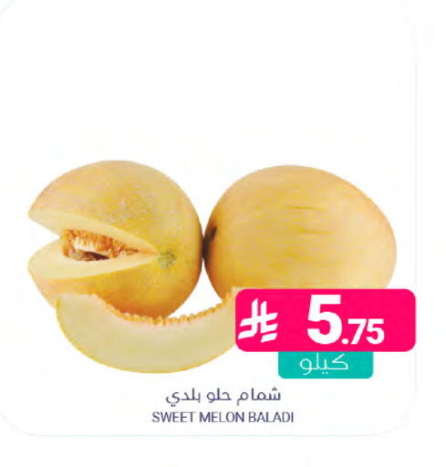 Melon available at Muntazah Markets in KSA, Saudi Arabia, Saudi - Saihat