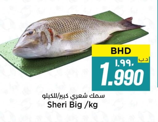 available at NESTO  in Bahrain