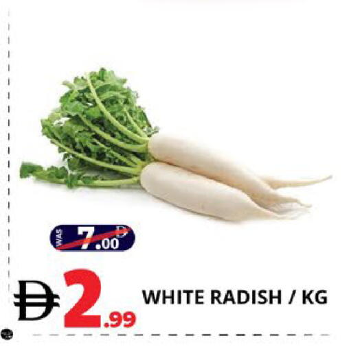 Radish available at EXPRESS AL MADEENA HYPERMARKET LLC in UAE - Abu Dhabi